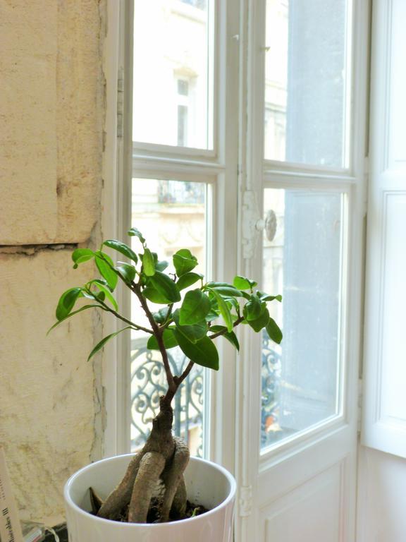 L'Appart D'Oli Et Tiane ボルドー 部屋 写真